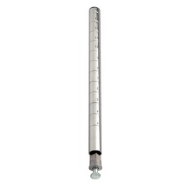 P54C